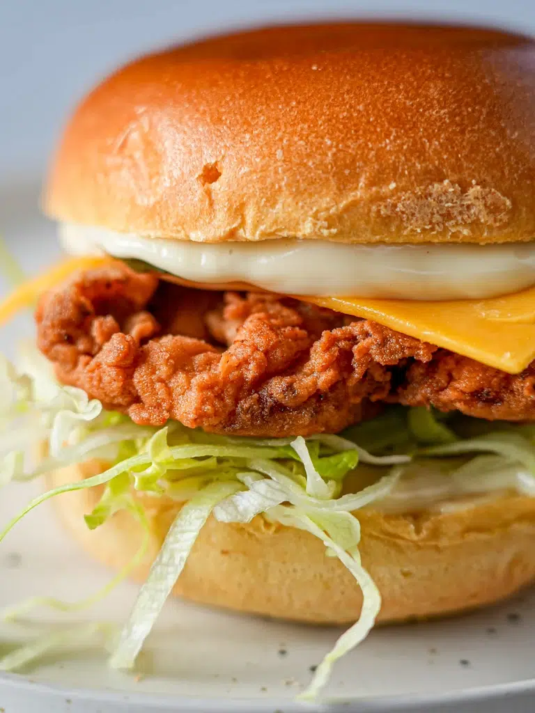 Southern Fried Chicken Burger