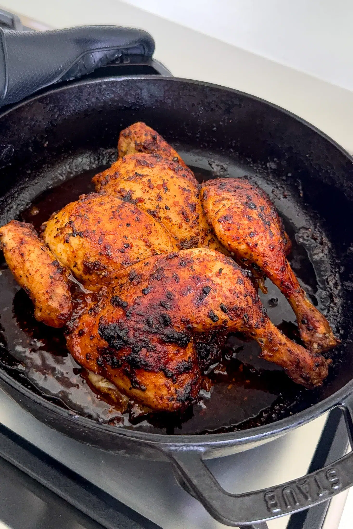 Cooked chicken illustrating beautifully golden skin all over